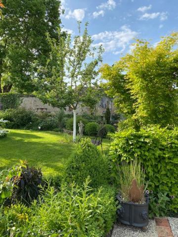 La Maison Des Buis Falaise  Buitenkant foto