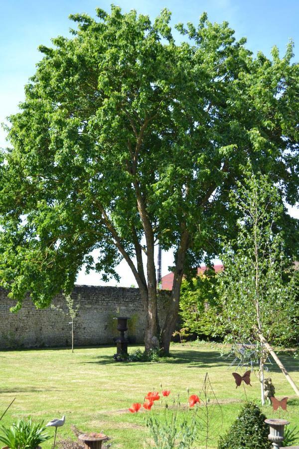 La Maison Des Buis Bed and Breakfast Falaise  Buitenkant foto