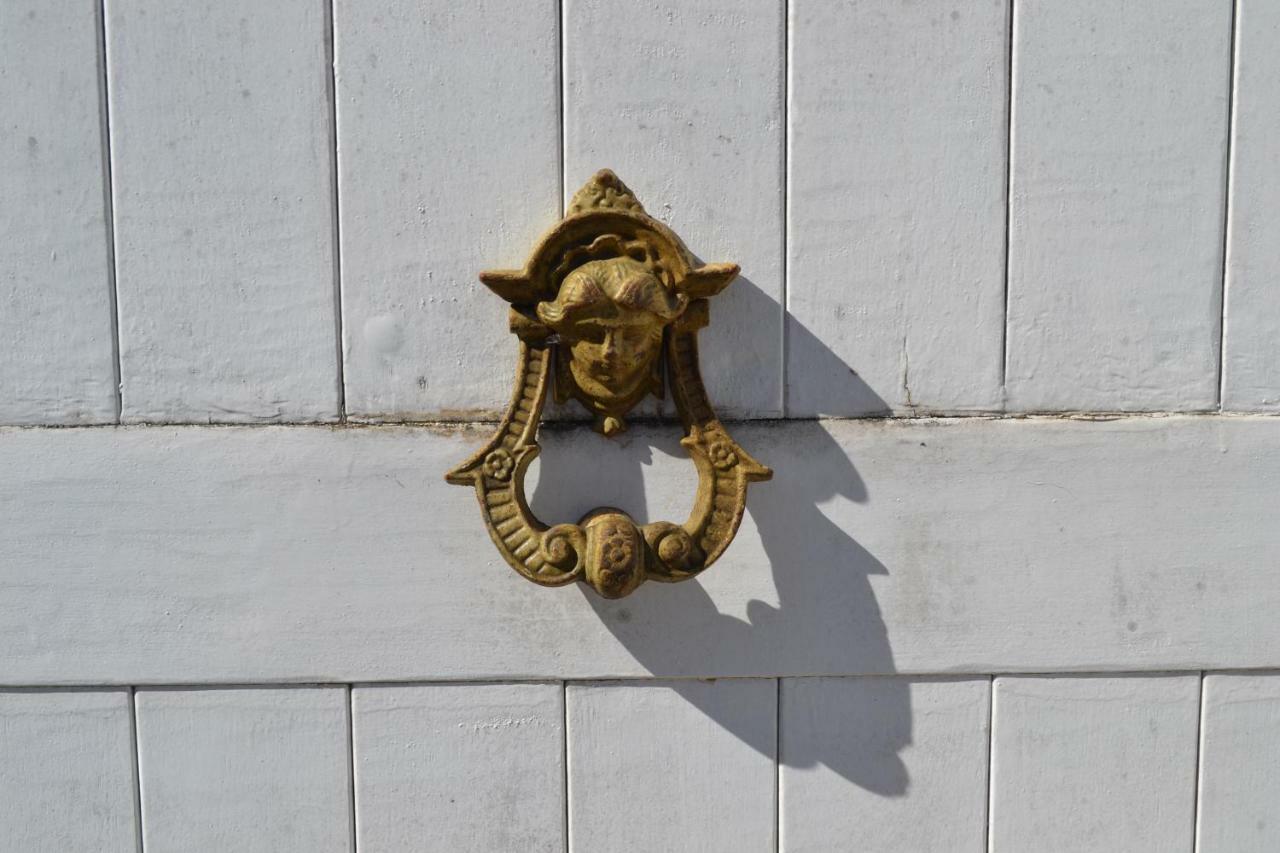 La Maison Des Buis Falaise  Buitenkant foto