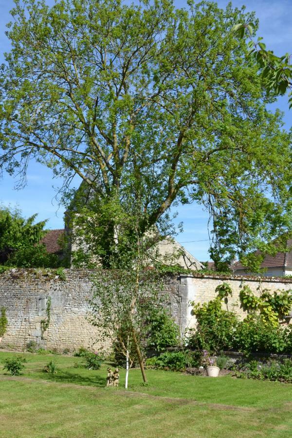 La Maison Des Buis Falaise  Buitenkant foto
